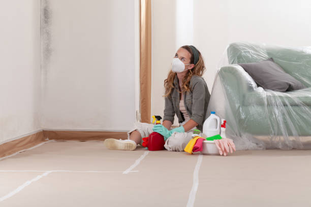 Reliable Mold Cleanup contractor in Riverside, MD by WQB Mold Removal